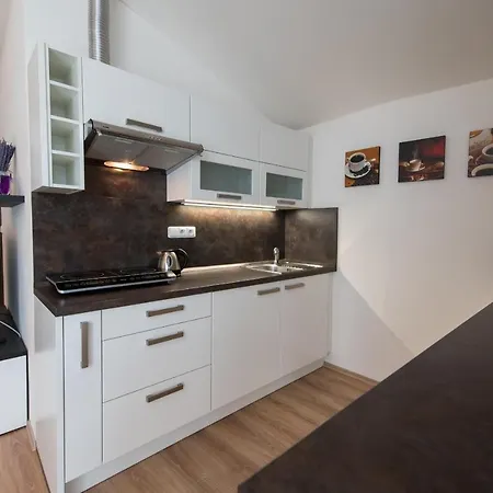 U Berty Apartment Trebon